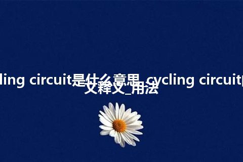 cycling circuit是什么意思_cycling circuit的中文释义_用法