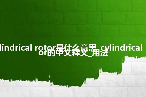 cylindrical rotor是什么意思_cylindrical rotor的中文释义_用法