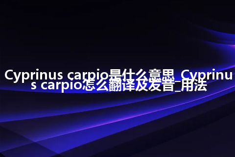 Cyprinus carpio是什么意思_Cyprinus carpio怎么翻译及发音_用法