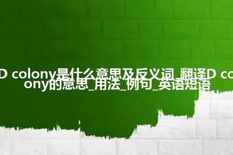 D colony是什么意思及反义词_翻译D colony的意思_用法_例句_英语短语