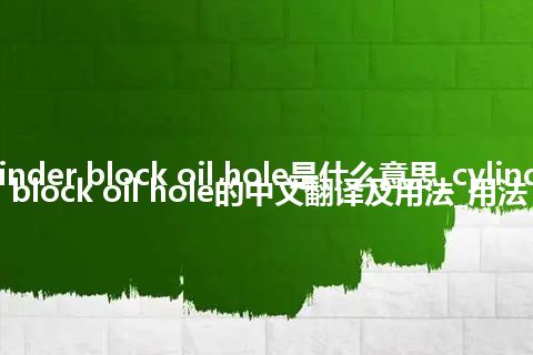 cylinder block oil hole是什么意思_cylinder block oil hole的中文翻译及用法_用法