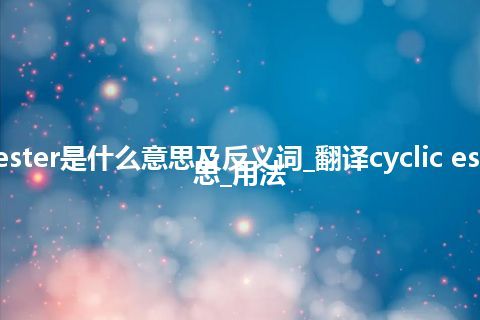 cyclic ester是什么意思及反义词_翻译cyclic ester的意思_用法