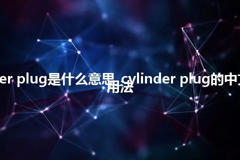 cylinder plug是什么意思_cylinder plug的中文解释_用法