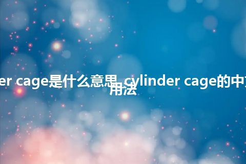 cylinder cage是什么意思_cylinder cage的中文释义_用法