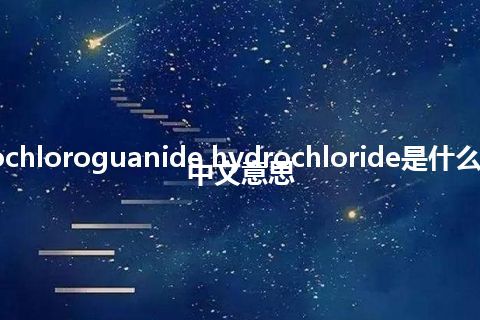 cyclochloroguanide hydrochloride是什么意思_中文意思