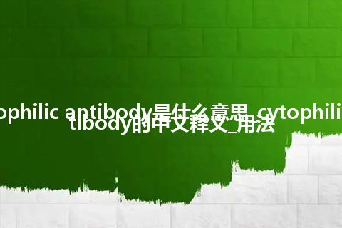 cytophilic antibody是什么意思_cytophilic antibody的中文释义_用法