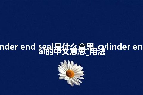 cylinder end seal是什么意思_cylinder end seal的中文意思_用法