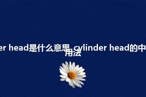 cylinder head是什么意思_cylinder head的中文意思_用法