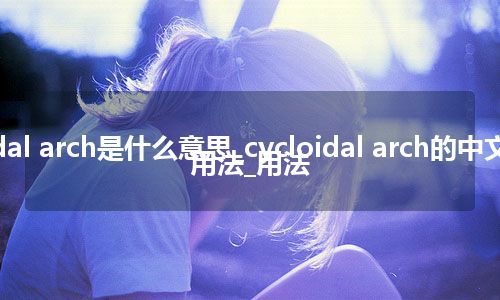 cycloidal arch是什么意思_cycloidal arch的中文翻译及用法_用法