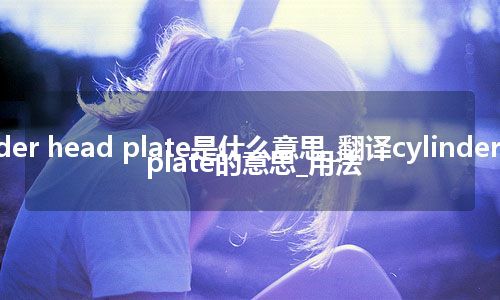 cylinder head plate是什么意思_翻译cylinder head plate的意思_用法