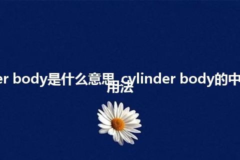 cylinder body是什么意思_cylinder body的中文释义_用法