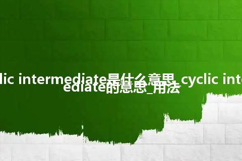 cyclic intermediate是什么意思_cyclic intermediate的意思_用法