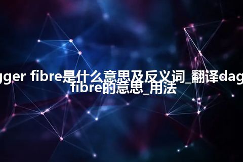 dagger fibre是什么意思及反义词_翻译dagger fibre的意思_用法