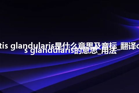 cystitis glandularis是什么意思及音标_翻译cystitis glandularis的意思_用法