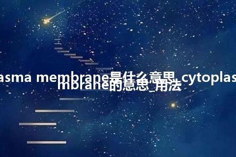 cytoplasma membrane是什么意思_cytoplasma membrane的意思_用法