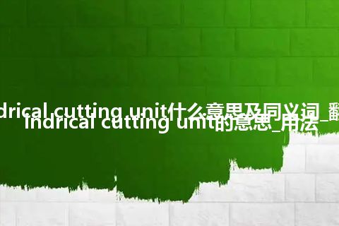 cylindrical cutting unit什么意思及同义词_翻译cylindrical cutting unit的意思_用法