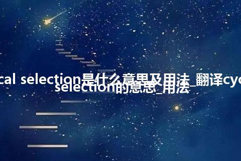 cyclical selection是什么意思及用法_翻译cyclical selection的意思_用法