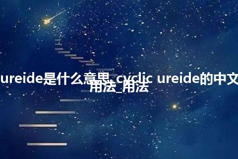 cyclic ureide是什么意思_cyclic ureide的中文翻译及用法_用法