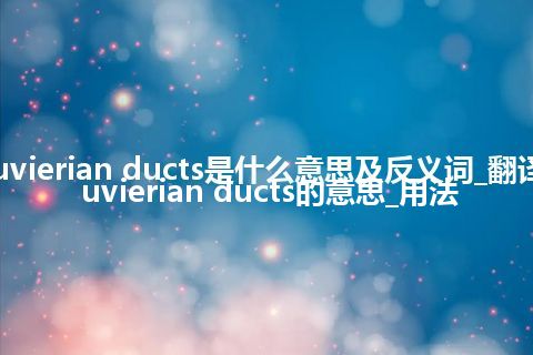 Cuvierian ducts是什么意思及反义词_翻译Cuvierian ducts的意思_用法