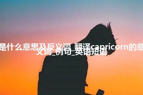 capricorn是什么意思及反义词_翻译capricorn的意思_用法_同义词_例句_英语短语