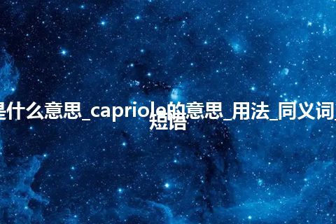 capriole是什么意思_capriole的意思_用法_同义词_例句_英语短语