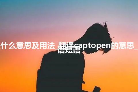 captopen是什么意思及用法_翻译captopen的意思_用法_例句_英语短语