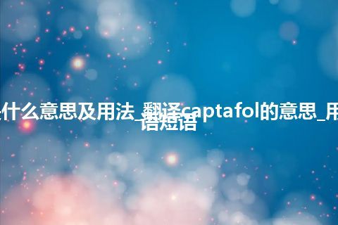 captafol是什么意思及用法_翻译captafol的意思_用法_例句_英语短语