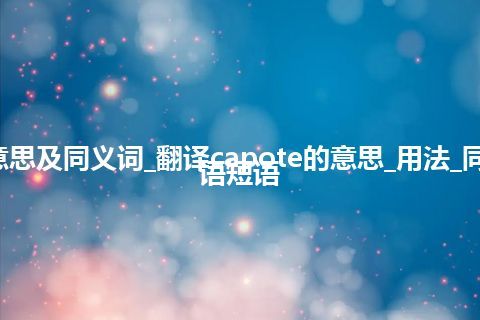 capote什么意思及同义词_翻译capote的意思_用法_同义词_例句_英语短语