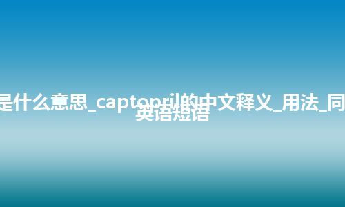 captopril是什么意思_captopril的中文释义_用法_同义词_例句_英语短语