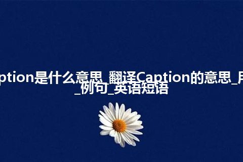 Caption是什么意思_翻译Caption的意思_用法_例句_英语短语