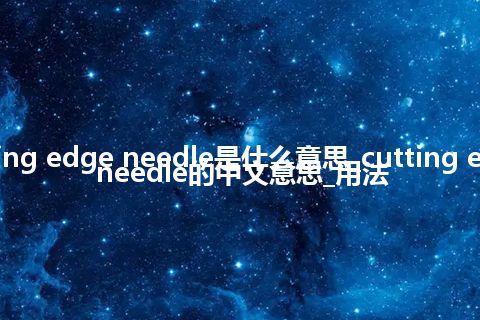 cutting edge needle是什么意思_cutting edge needle的中文意思_用法