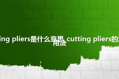 cutting pliers是什么意思_cutting pliers的意思_用法