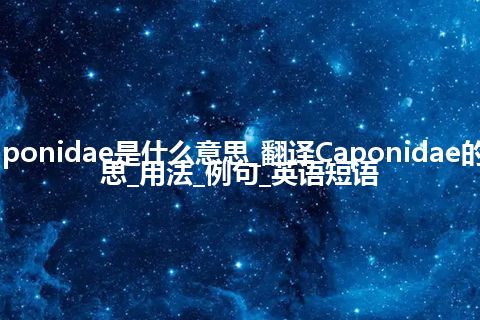 Caponidae是什么意思_翻译Caponidae的意思_用法_例句_英语短语