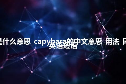 capybara是什么意思_capybara的中文意思_用法_同义词_例句_英语短语