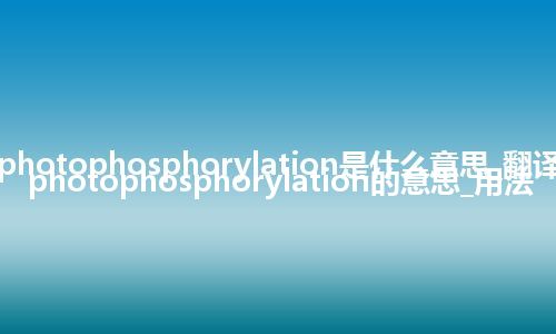 cycle photophosphorylation是什么意思_翻译cycle photophosphorylation的意思_用法