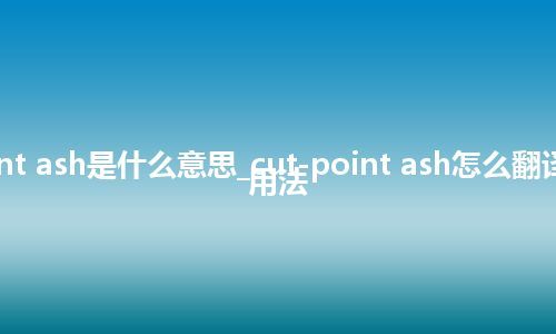 cut-point ash是什么意思_cut-point ash怎么翻译及发音_用法