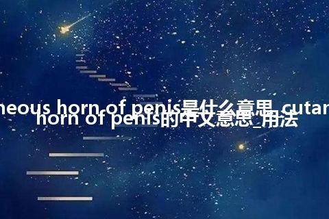 cutaneous horn of penis是什么意思_cutaneous horn of penis的中文意思_用法