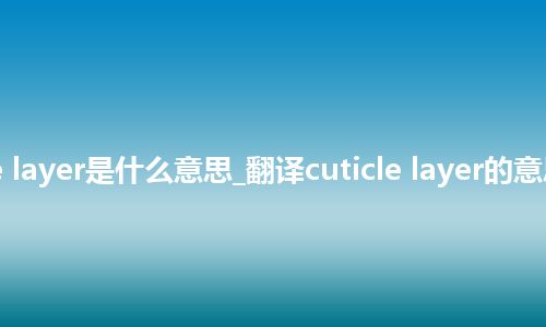 cuticle layer是什么意思_翻译cuticle layer的意思_用法