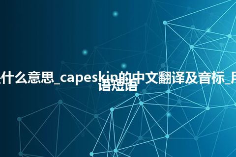 capeskin是什么意思_capeskin的中文翻译及音标_用法_例句_英语短语