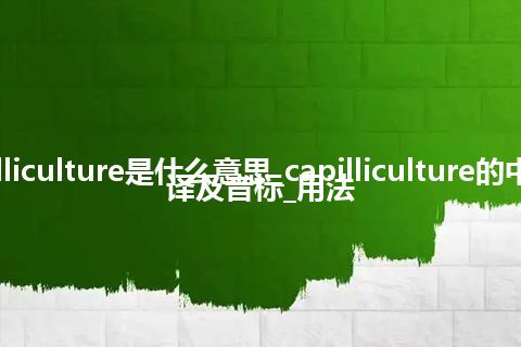 capilliculture是什么意思_capilliculture的中文翻译及音标_用法