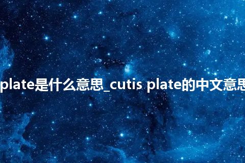 cutis plate是什么意思_cutis plate的中文意思_用法