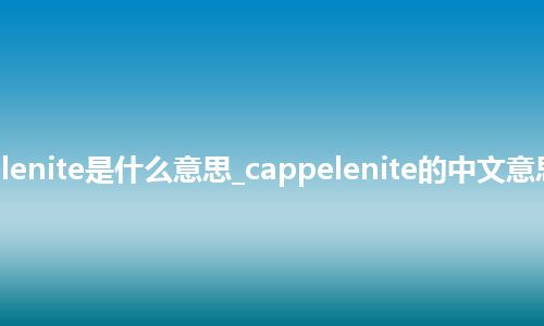 cappelenite是什么意思_cappelenite的中文意思_用法