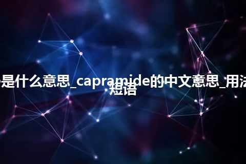 capramide是什么意思_capramide的中文意思_用法_例句_英语短语