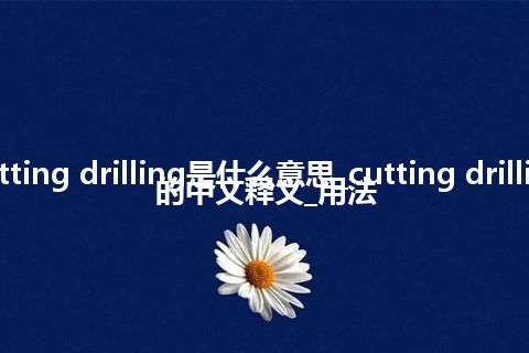 cutting drilling是什么意思_cutting drilling的中文释义_用法