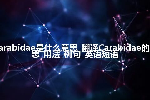 Carabidae是什么意思_翻译Carabidae的意思_用法_例句_英语短语