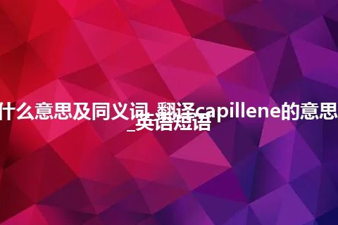 capillene什么意思及同义词_翻译capillene的意思_用法_例句_英语短语