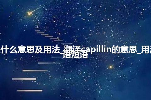 capillin是什么意思及用法_翻译capillin的意思_用法_例句_英语短语