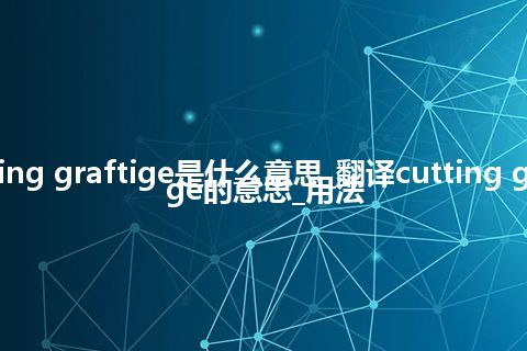 cutting graftige是什么意思_翻译cutting graftige的意思_用法