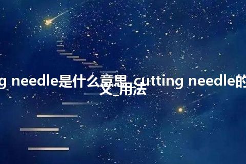 cutting needle是什么意思_cutting needle的中文释义_用法