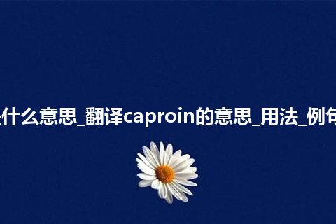 caproin是什么意思_翻译caproin的意思_用法_例句_英语短语